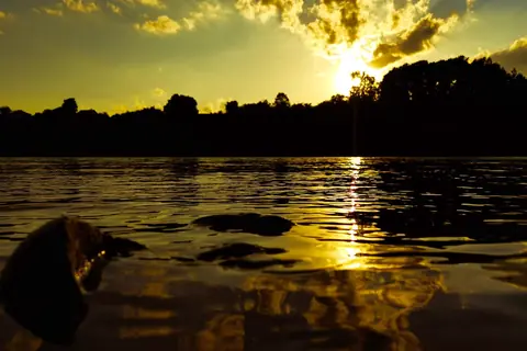 Zalazak sunca iznad reke, odraz u vodi (fotografija: Snežana Petranović)